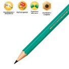 LAPIS PRETO BIC EVOLUTION HB